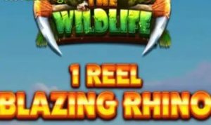 1 Reel - Blazing Rhino