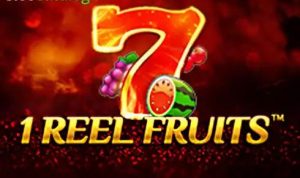 1 Reel - Frutis Craze