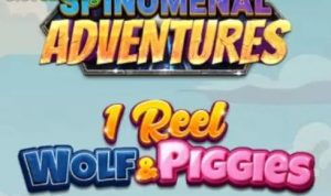 1 Reel - Wolf & Piggies